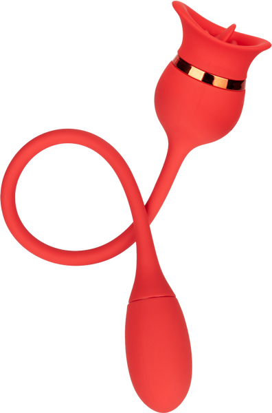 Casanova (Red)-SE-0608-20-3