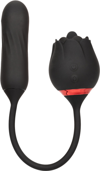 Elite Lover (Black)-SE-0608-75-3