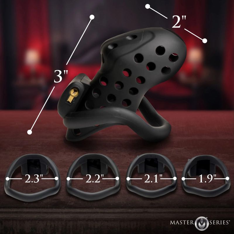 Lock Down Chastity Cage-AH599