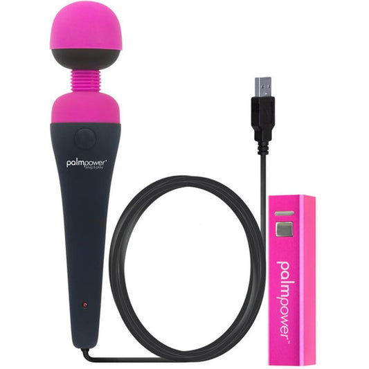 PalmPower Massage Wand Plug and Play USB