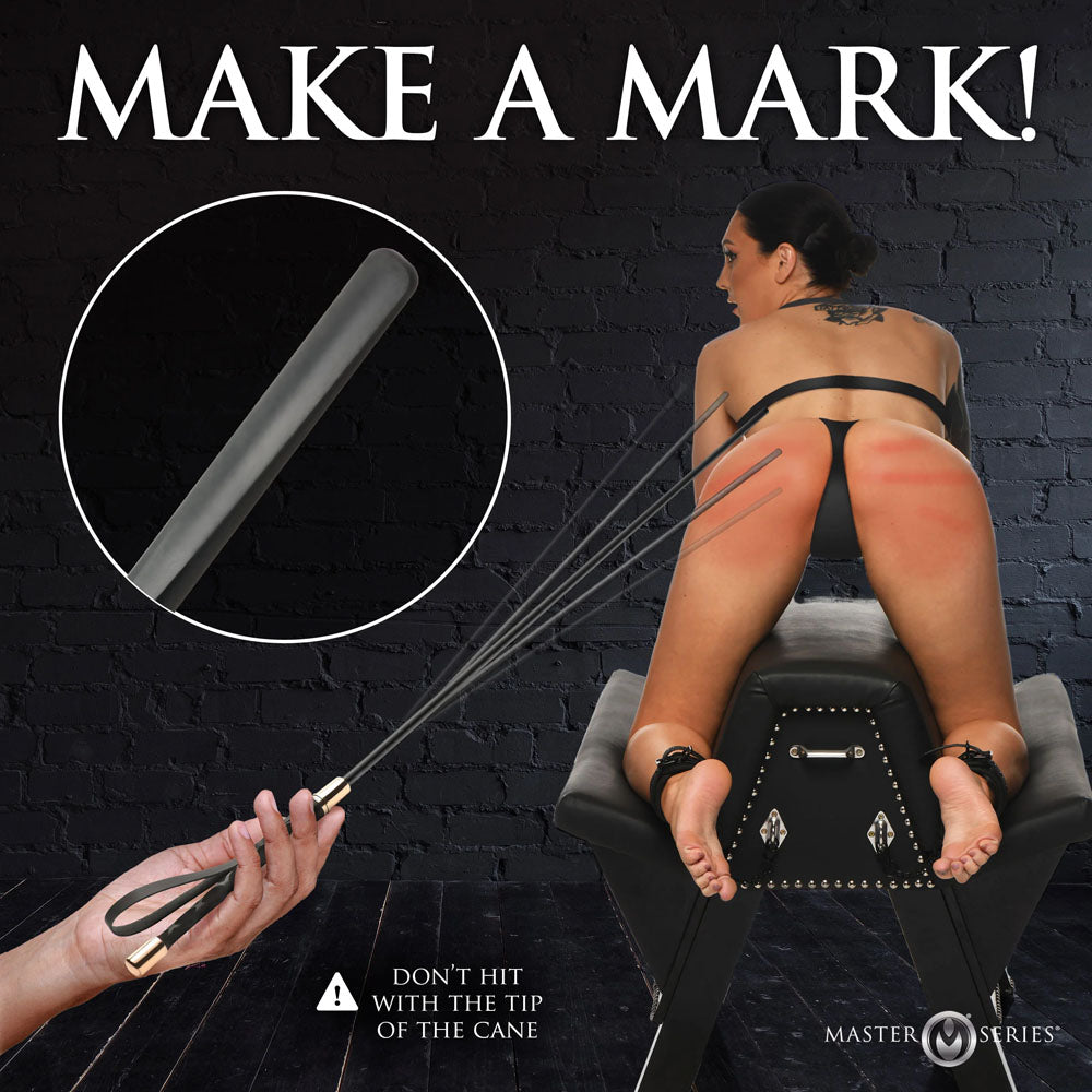 Master Series Sinful Impact Cane - Black Plastic Cane Whip-AH598
