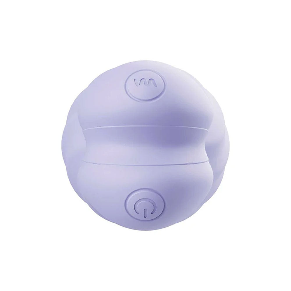 Adam & Eve SPIRAL LOVE Wearable Egg - Purple USB Rechargeable Wearable Vibrating Egg with Wireless Remote-L075 6900