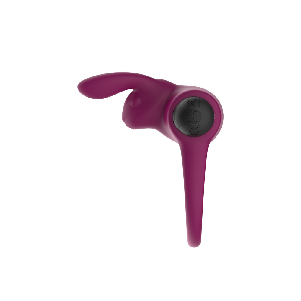 Passion Play Silicone Rabbit Vibrating Cockring - Purple USB Rechargeable Vibrating Penis and Balls Ring - PP0242