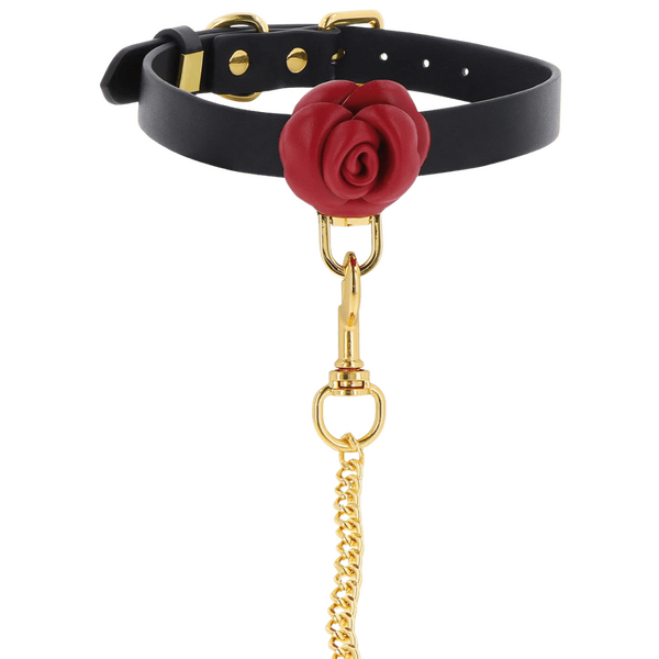 Wild Roses Collar & Leash (Black)-17443-BLACK