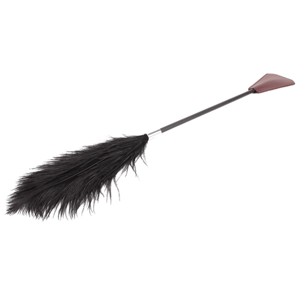 Crop with Feathers (Burgundy)-CN-738300104